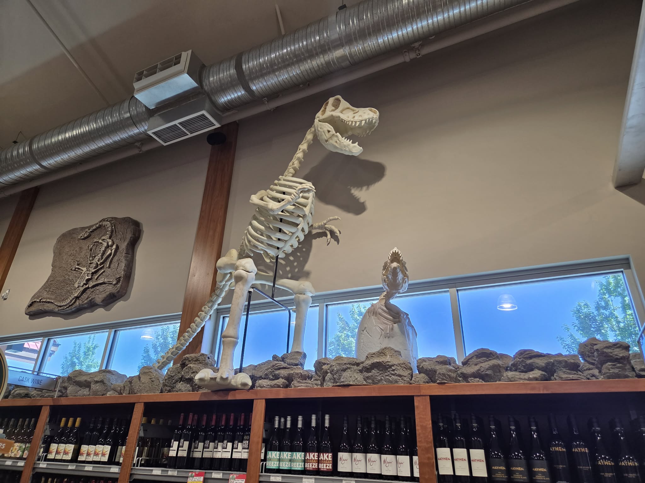 Full T-Rex skeleton on a rocky outcrop next to a hatching dinosaur egg