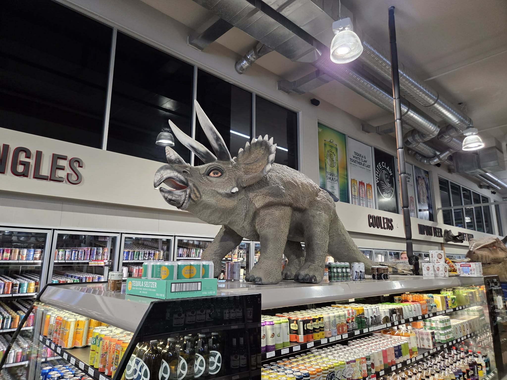 A full-size Triceratops standing on top of a cooler near the singles section