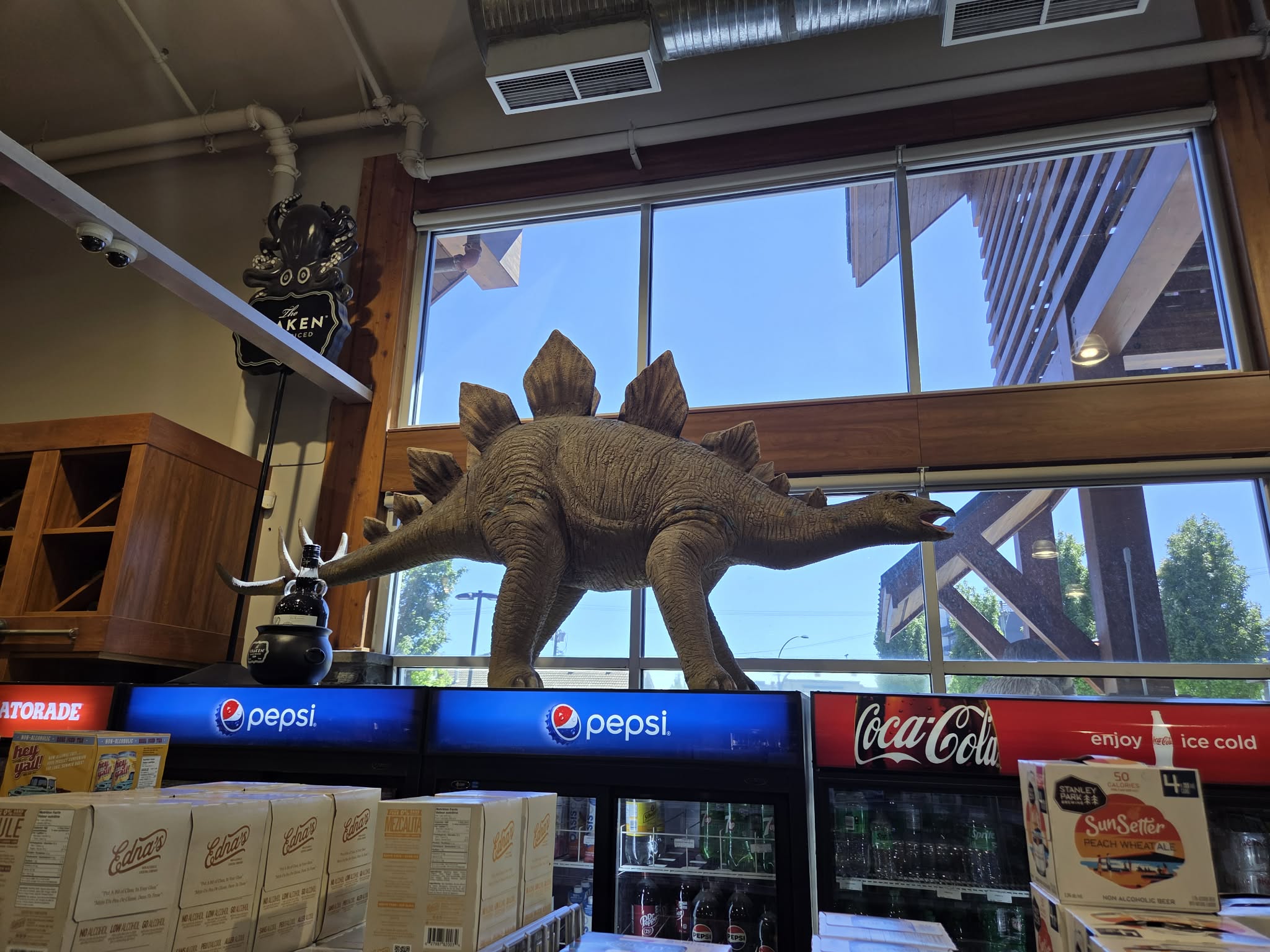 A Stegosaurus standing on top of the pop cooler in front of the window