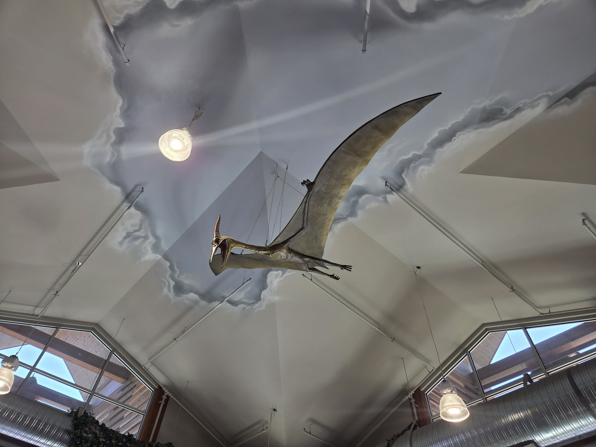 A Pteranodon suspended from the painted cloud ceiling, mid-flight