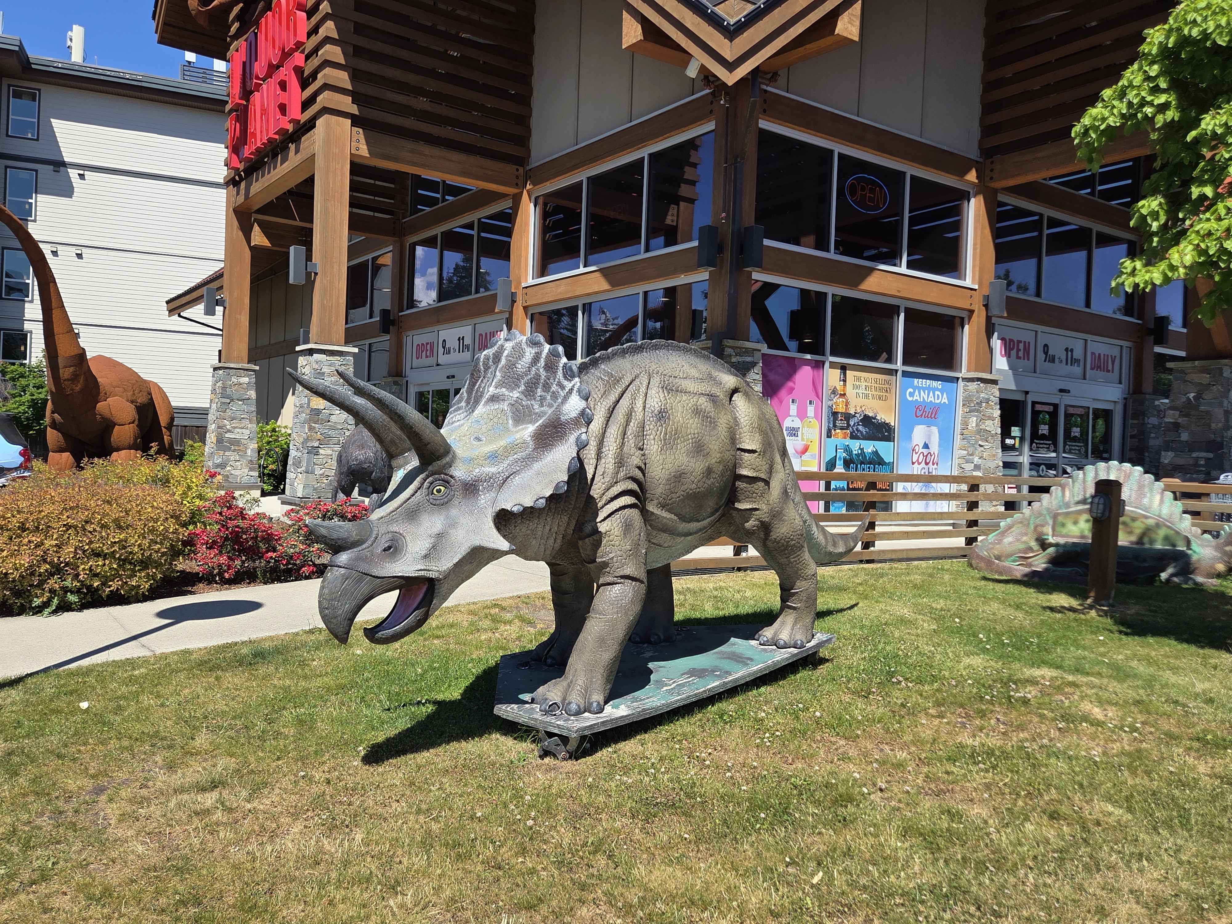 A life-size grey Triceratops sculpture on the front lawn with the rusty Bronto behind it