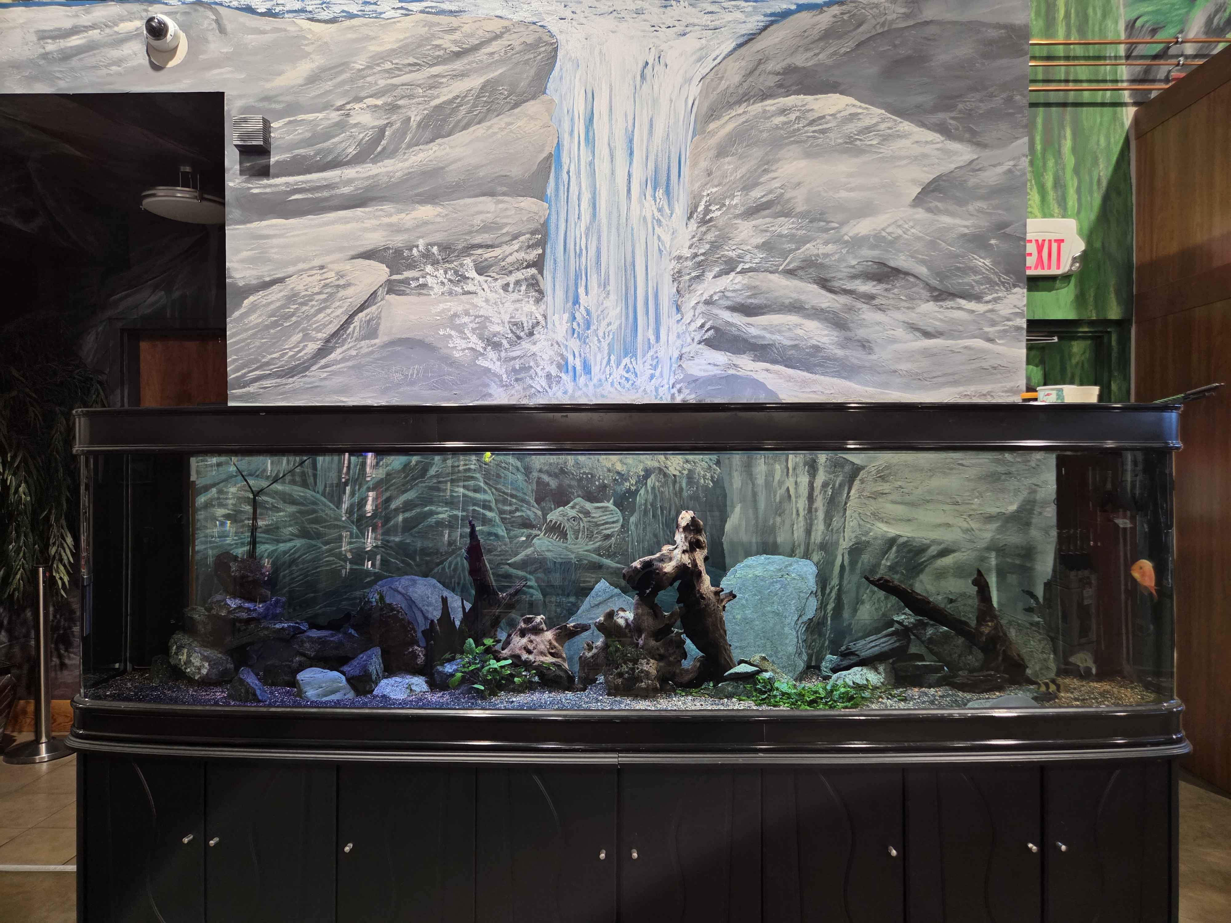 Close-up of the custom 10-foot aquarium with driftwood and the painted waterfall mural behind it