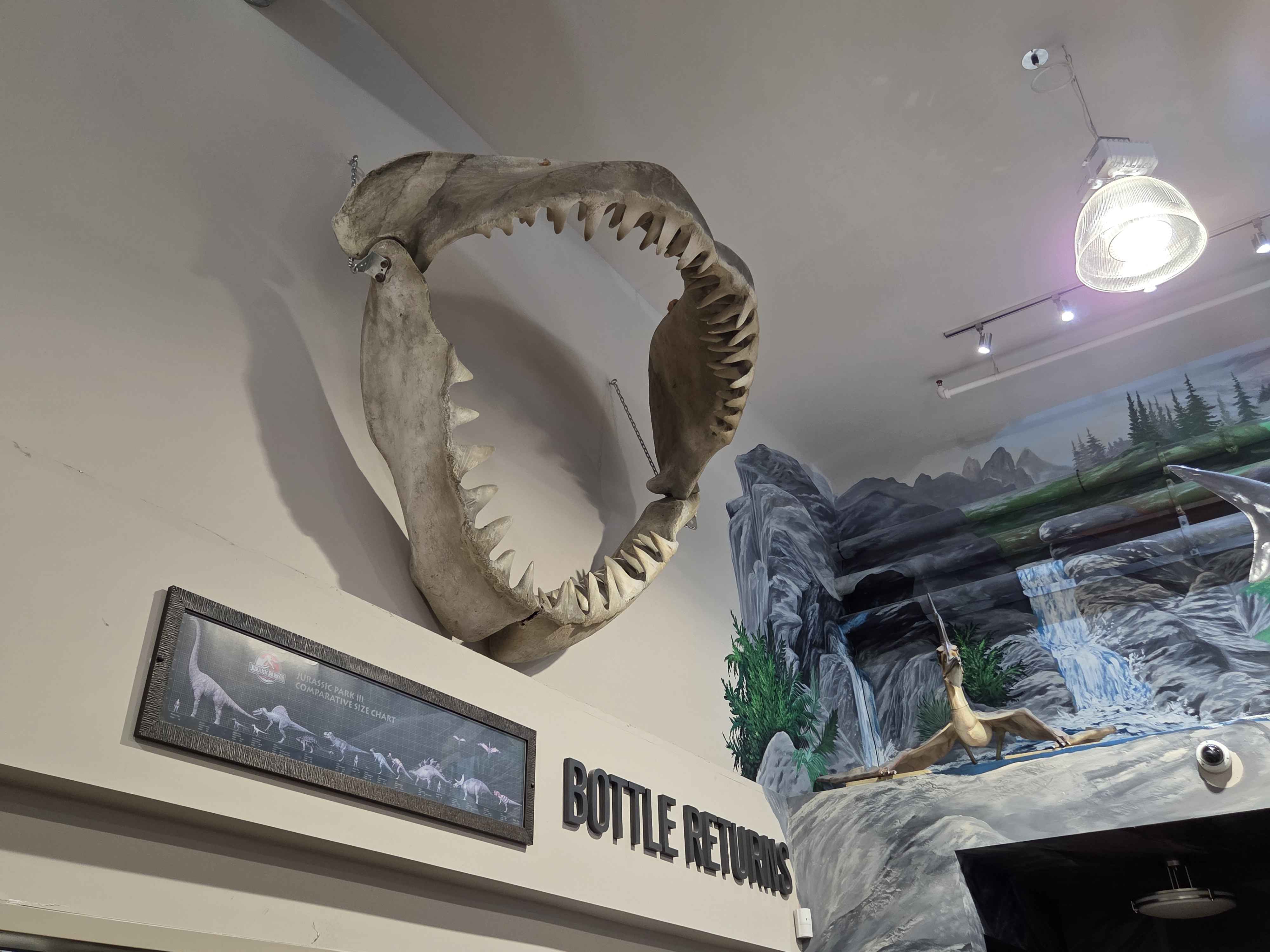A massive set of Megalodon shark jaws mounted on the wall above the Bottle Returns sign